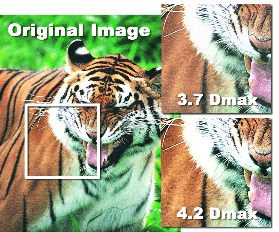 1552635658260785.jpg 1552635658260785.jpg